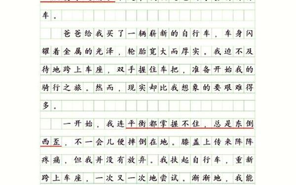 我学会了什么作文400字四年级 书让我懂得了什么作文400