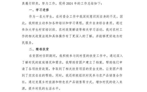 大学生村官个人总结;2024年村干部个人总结