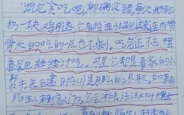仿生学的作文,100例动物仿生设计