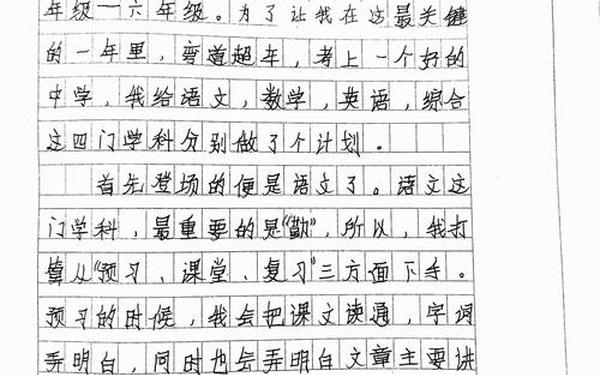开学新计划作文—开学的新计划450字