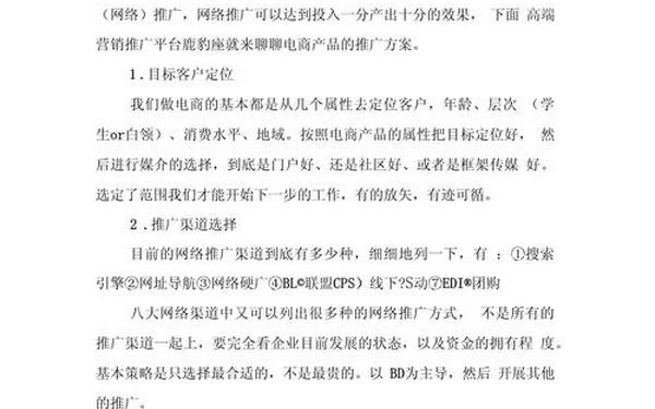 电子商务网站推广方案—电子商务平台推广方案