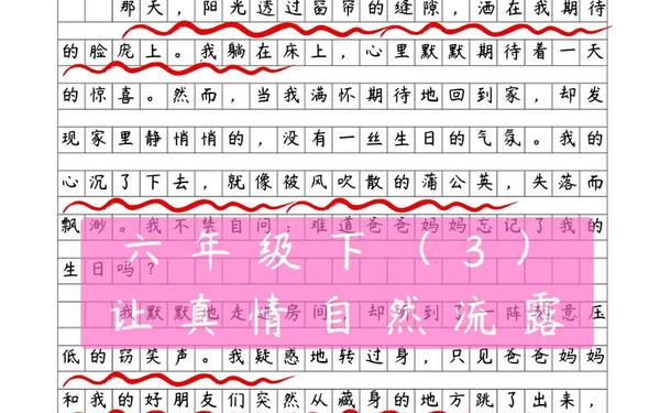 初中写事作文600字优秀范文 6年级作文让真情自然流露