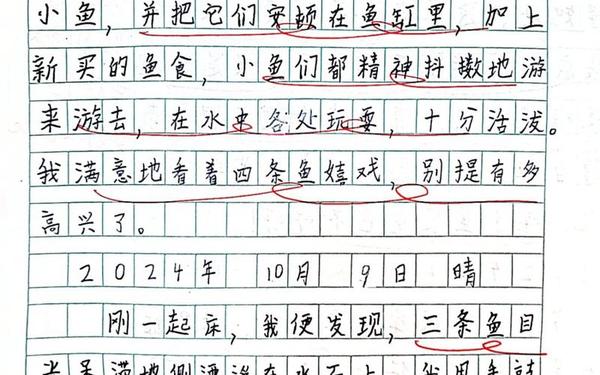 小学生四年级日记—9999999999兆字的日记