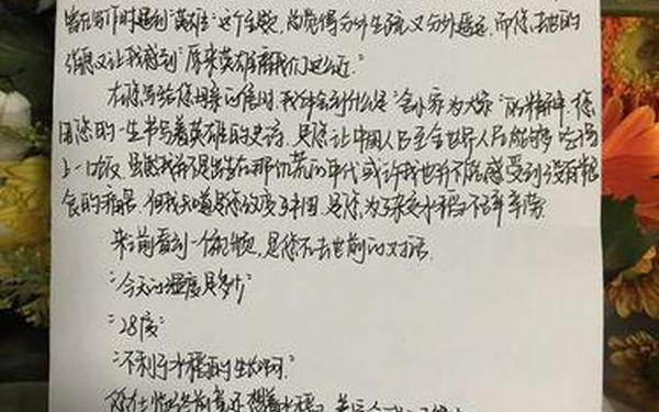 我最敬佩的人一一袁隆平(我最敬佩的人800字袁隆平)