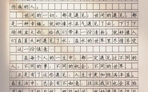 《遇见》中考满分作文600字_中考满分优秀作文范文