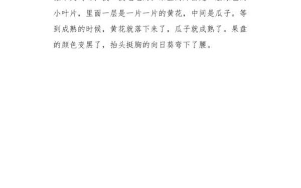 二年级作文大全100字(二年级100字作文怎么写)