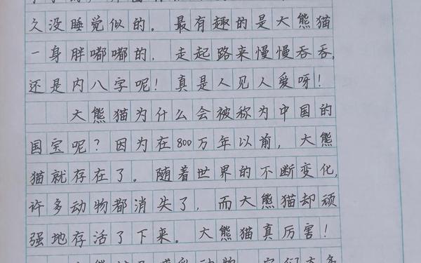 国宝大熊猫300字作文(大熊猫300字可抄)