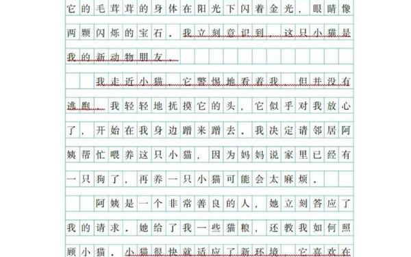 我的心爱之物五年级500字作文(我的心爱之物小猫400字)