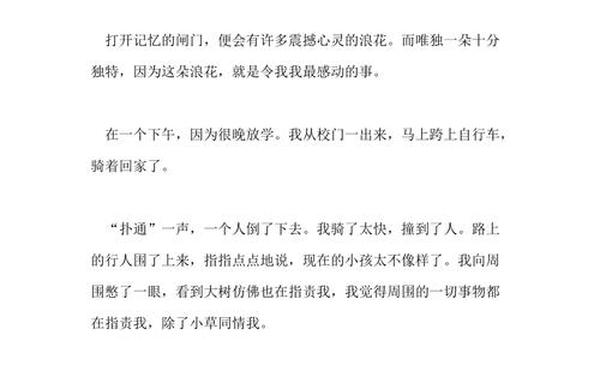 你好陌生人作文600字—令我敬佩的陌生人作文600字