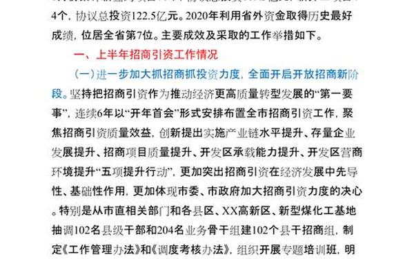 招商工作总结_入职工作总结