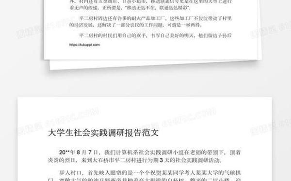 大学生社会调查报告模板、大学生社会实践调研报告