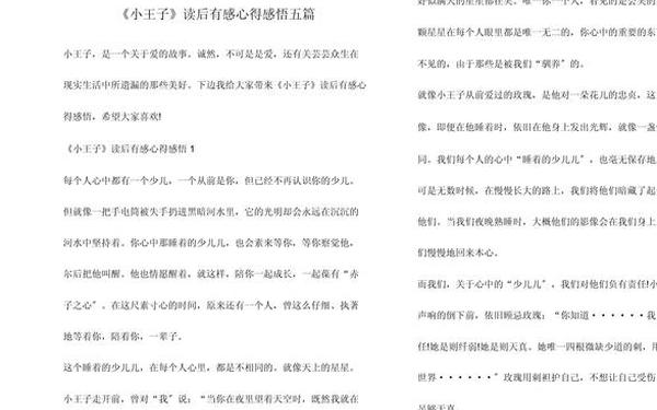 小王子读后感200字、小王子故事梗概