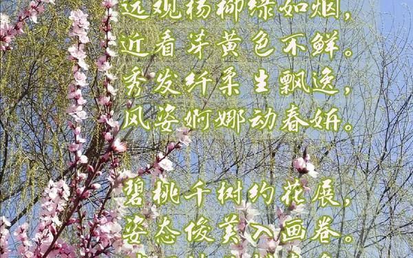 关于春天的优美句子(最美人间三月天,不负春光不负卿)
