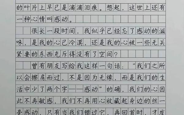 感动作文500字优秀作文-《感动》作文450字