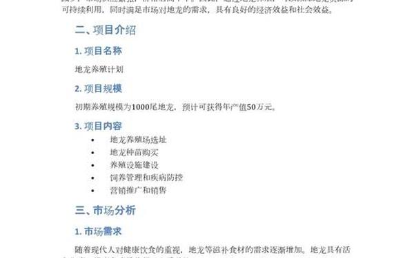 创业项目计划书范本(投资计划书模板)