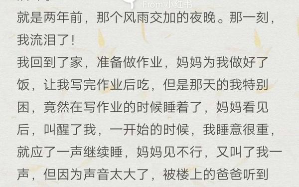 那一刻我流泪了 作文《那一刻,我流泪了》500字