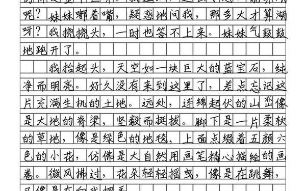 满分作文网(欣喜若狂的作文)