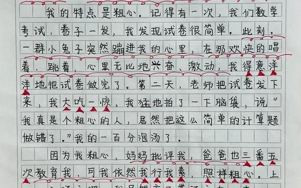 什么的我作文、____的我