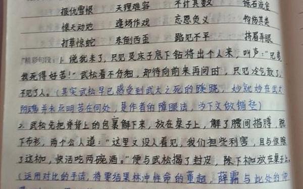 水浒传读书笔记600字;水浒传读后感600字左右