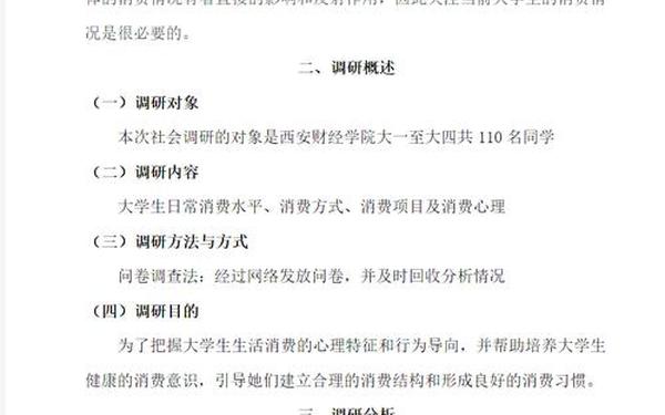 大学生消费情况调查报告,大学生消费现状的调查报告1000字