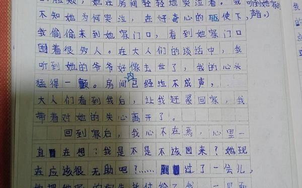 世界上最悲伤作文_作文《他死了》