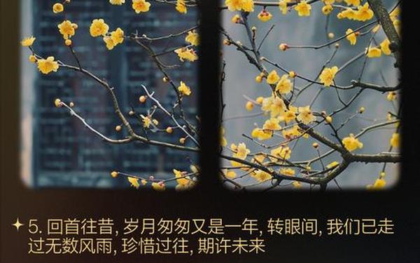 回顾过去的一年,回顾过去的一年,有收获,有 回顾过去的一年,回顾过去的一年,有收获,有