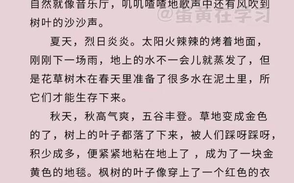 大作文300字三年级 9000000000字作文