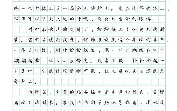 秋天作文600字初中-夏天的作文600字作文