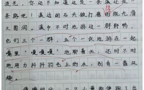 乡下人家作文400字四年级_仿写《乡下人家》400字