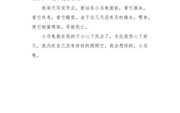 小学二年级作文范文;二年级100字优秀作文