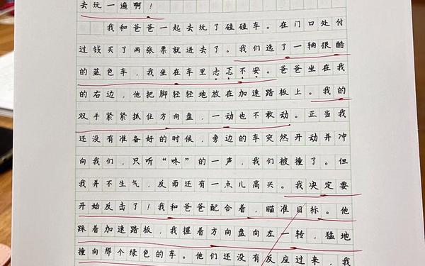 小作文字越多越好-三百字的作文