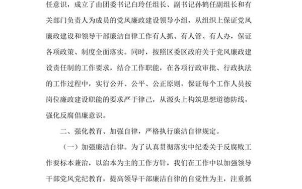 廉洁自律工作总结,个人廉洁自律工作总结范文