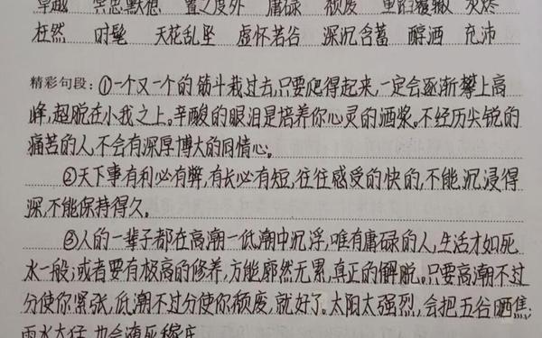 傅雷家书读书笔记摘抄,《傅雷家书》金句