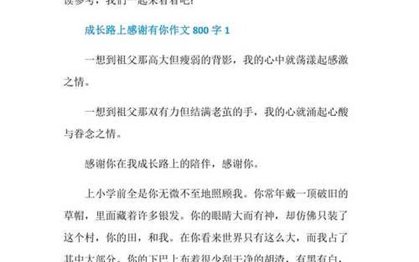 有你同行作文(感谢有你一路同行作文800字)