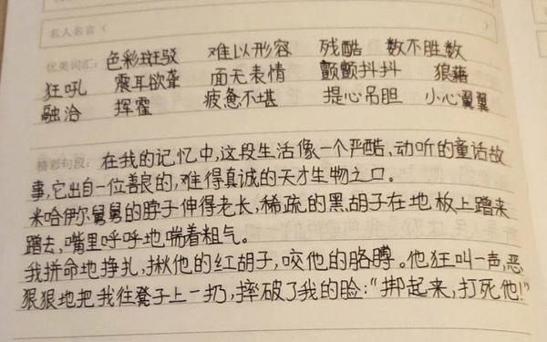 童年读书笔记好词好句好段及感悟,好词好句读后感摘抄大全