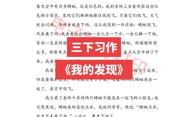 发现自我的作文素材_我看到了自己作文800字