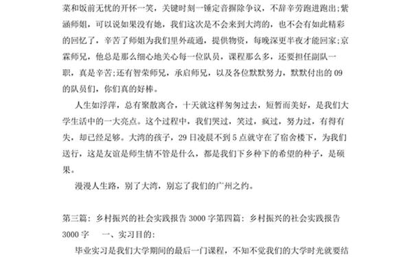 农村社会实践报告3000字,农村实践报告范文