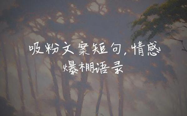 情感语录热门素材文案,文案素材库大全 情感语录热门素材文案,文案素材库大全