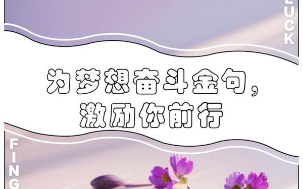 为了梦想而奋斗的诗句_追梦金句