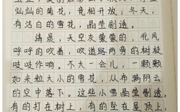 关于雪的散文、赞美雪的散文