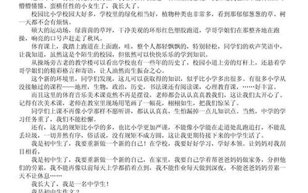 我是中学生作文 《中学生优秀作文》