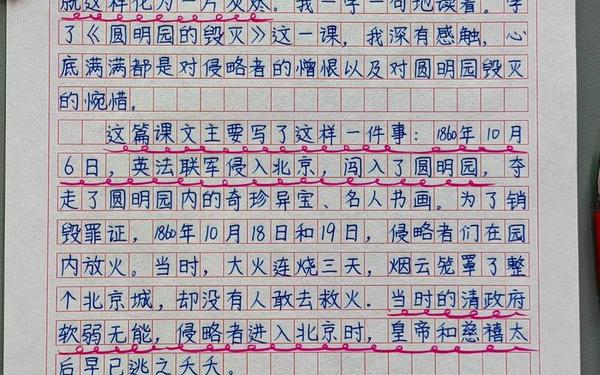 火烧圆明园观后感(圆明园观后感300字)