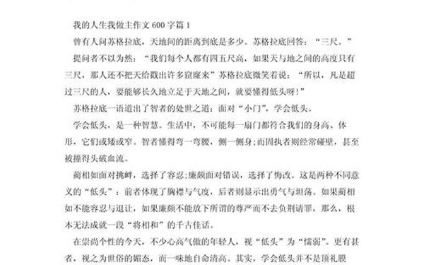 我的作文我做主_我的我做主作文600字