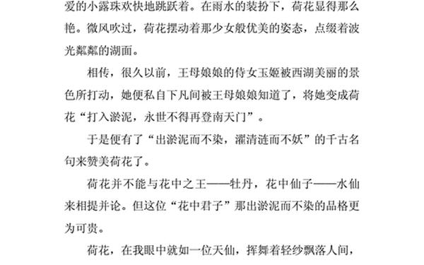 关于莲的作文、荷花作文500字～800字