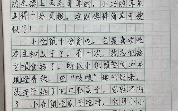 小学三年级观察作文 三年级写观察作文大全