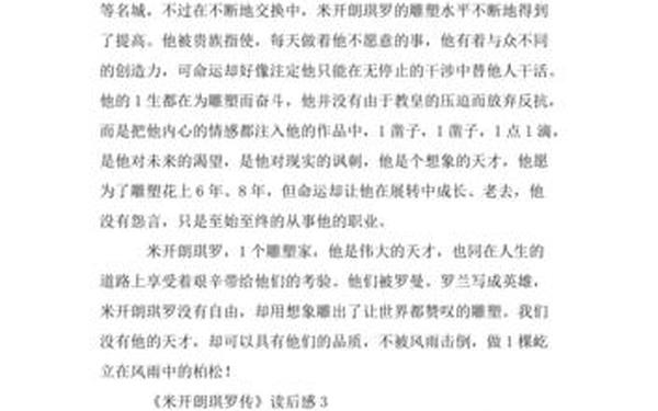 米开朗琪罗传读后感、巨人三传米开朗基罗传读后感