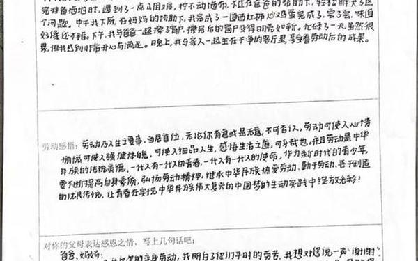 实践报告心得、参加一次社会实践活动感悟