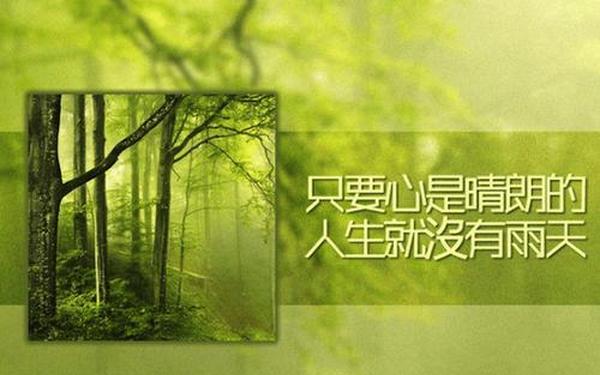人生感悟的经典短句,很暖很治愈的短句