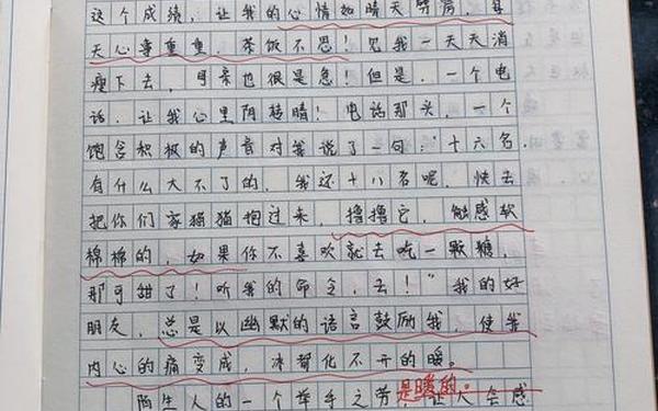 《暖》作文(《暖》作文围绕中心意思写)