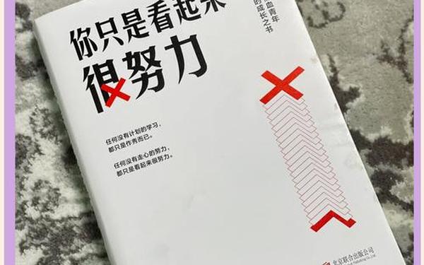《你只是看起来很努力》读后感(《格局》读后感800字)